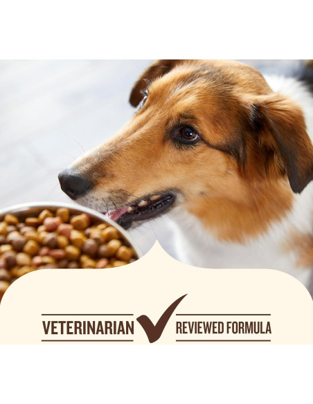 Comida Seca para Perros Nutrish Rachael Ray 12,7 kg Res Guisante