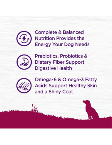 Comida Seca para Perros Wellness 4 Libras Pavo y Avena