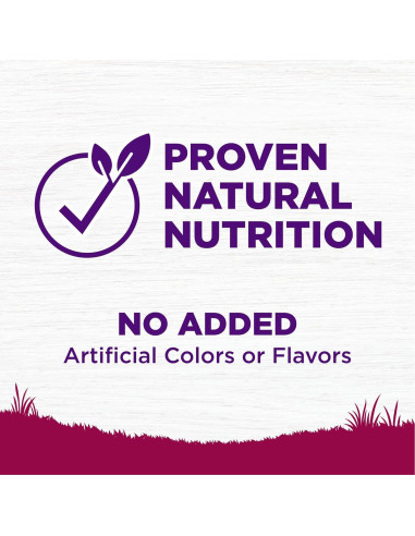 Comida Seca para Perros Wellness 4 Libras Pavo y Avena