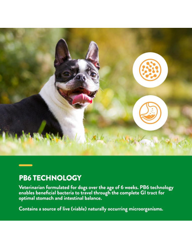 Suplemento Probioticos y Enzimas NaturVet 70 Golosinas