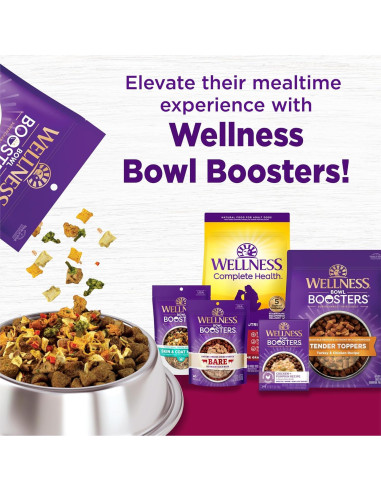 Comida Seca para Perros Wellness 4 Libras Pavo y Avena