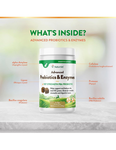 Suplemento Probioticos y Enzimas NaturVet 70 Golosinas