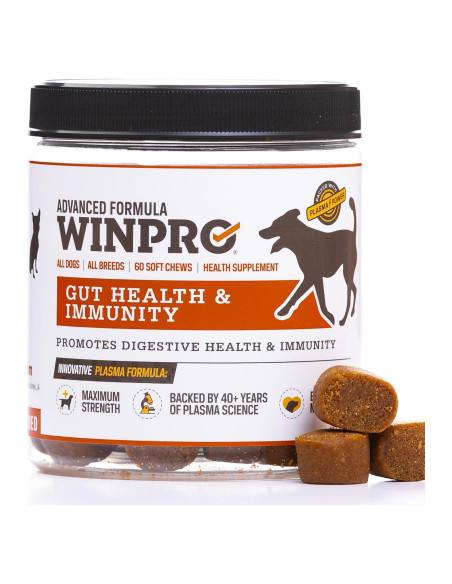Suplemento Salud Intestinal para Perros WINPRO - 60 Chews