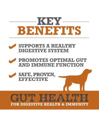 Suplemento Salud Intestinal para Perros WINPRO - 60 Chews