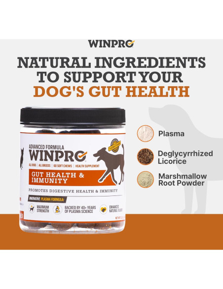 Suplemento Salud Intestinal para Perros WINPRO - 60 Chews