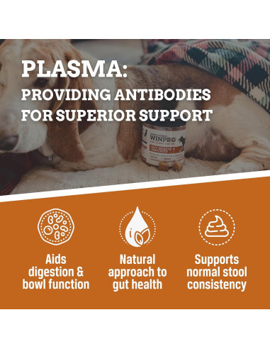 Suplemento Salud Intestinal para Perros WINPRO - 60 Chews