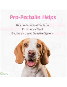 Pasta Oral Pro-Pectalin Vetoquinol 30cc para Perros y Gatos 2