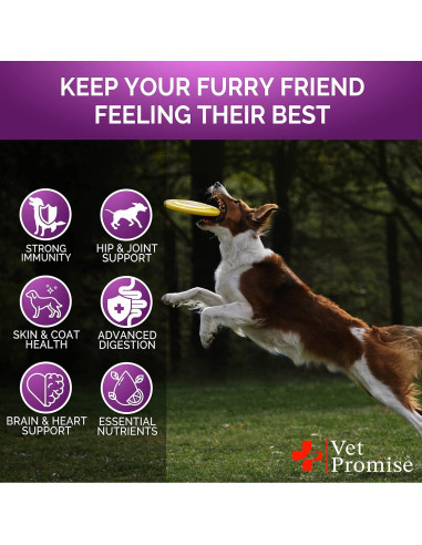 Multivitamina Masticable para Perros Vet Promise 120 Unidades