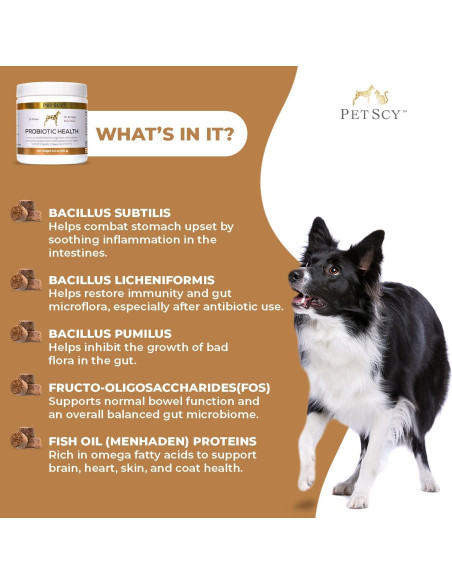 Golosinas Probioticas para Perros PetScy 30 Unidades