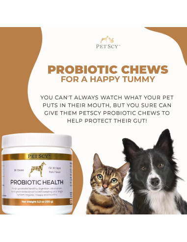 Golosinas Probioticas para Perros PetScy 30 Unidades