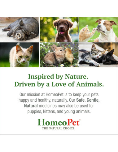HomeoPet Alivio Nasal para Gatos 15 ml - Suplemento Natural