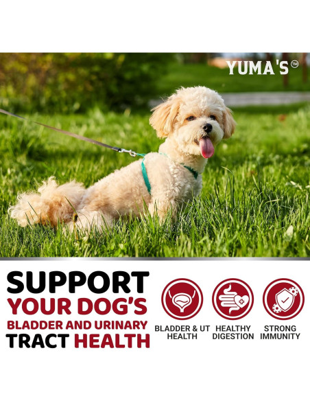 Suplemento Urinario para Perros YUMA'S 170 Golosinas