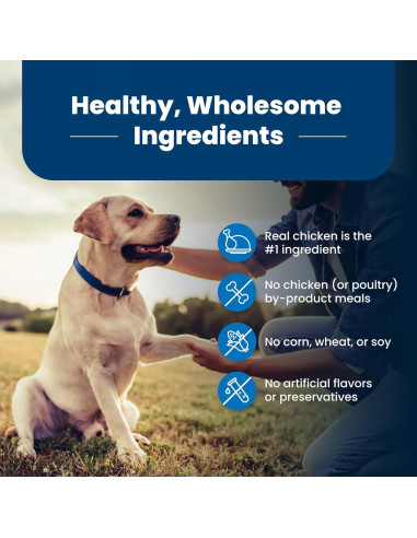 Alimento para Perros Mayores Blue Buffalo 2,27 kg Pollo y Arroz