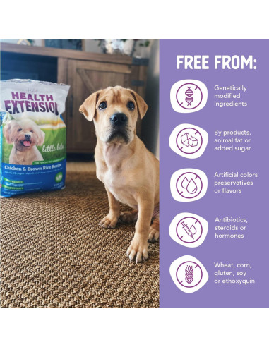 Comida Seca para Perros Health Extension Pollo y Arroz 4.5kg