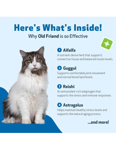 Suplemento Herbal para Gatos Mayores Pet Wellbeing 118 ml