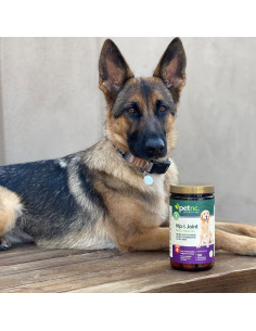 Suplemento Articular para Perros 150 Masticables Petnc 2