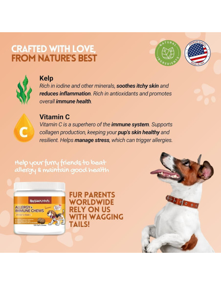 Chews para Alergia e Inmunidad Herbion 120 Unidades