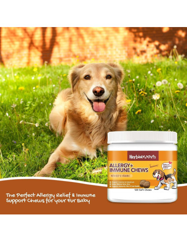 Chews para Alergia e Inmunidad Herbion 120 Unidades