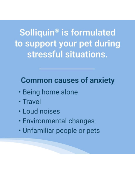 Suplemento Nutramax Solliquin 75 Masticables para Perros y Gatos