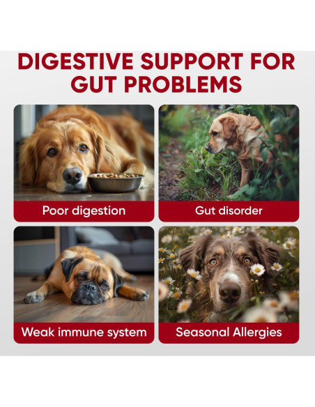 Masticables Probioticos Pawzitive Pets 120 Unidades Salud Digestiva