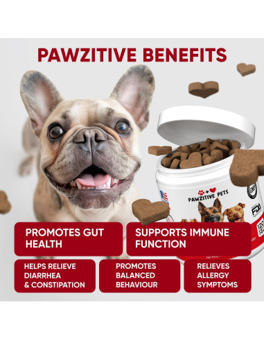 Masticables Probioticos Pawzitive Pets 120 Unidades Salud Digestiva