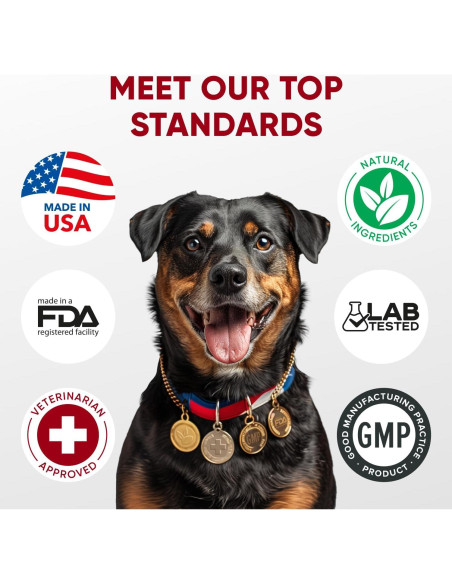 Masticables Probioticos Pawzitive Pets 120 Unidades Salud Digestiva