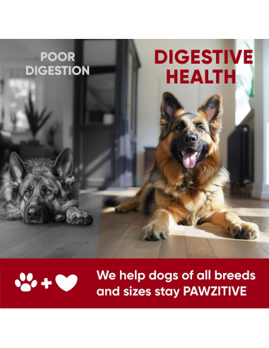 Masticables Probioticos Pawzitive Pets 120 Unidades Salud Digestiva