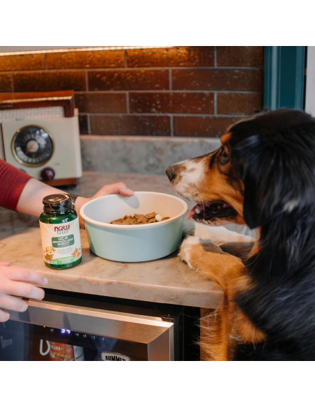 Suplemento Articular para Perros y Gatos NOW 60 Tabletas