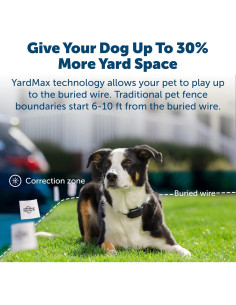 Collar Eléctrico PetSafe YardMax para Perros 2,27 kg+ Negro 2