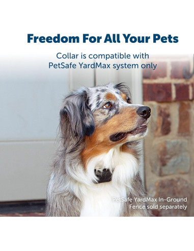 Collar Eléctrico PetSafe YardMax para Perros 2,27 kg+ Negro