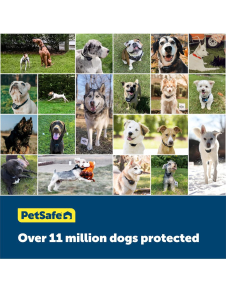 Collar Eléctrico PetSafe YardMax para Perros 2,27 kg+ Negro