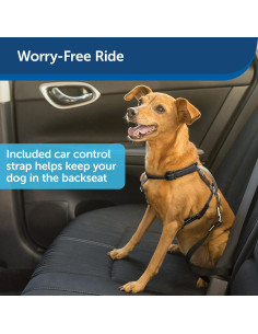 Arnés PetSafe 3 en 1 Ajustable Pequeño Negro con Correa 2