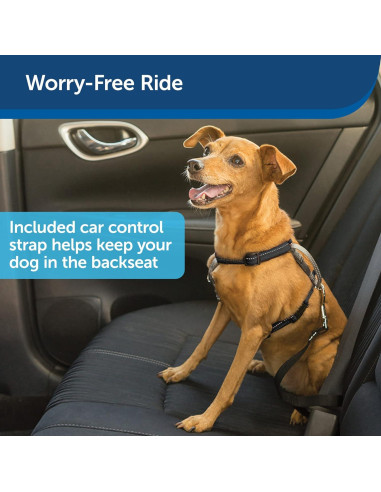 Arnés PetSafe 3 en 1 Ajustable Pequeño Negro con Correa