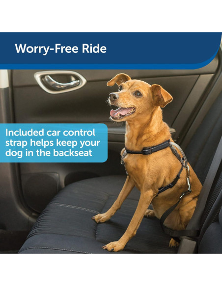 Arnés PetSafe 3 en 1 Ajustable Pequeño Negro con Correa