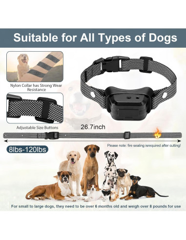 Collar de Entrenamiento Citronela KDSZJDV T510 IPX7 4 Modos