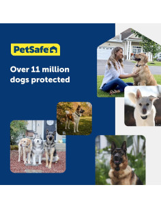 Correa de Reemplazo PetSafe 2,54 cm para Collares de Perros 2