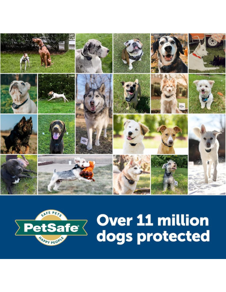 Correa de Reemplazo PetSafe 2,54 cm para Collares de Perros