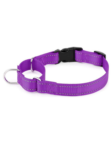 Collar Martingale Reflectante Plutus Pet M 40-50 cm Púrpura