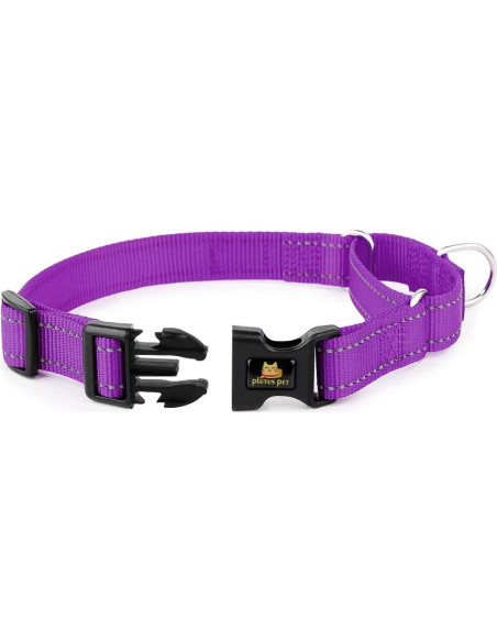 Collar Martingale Reflectante Plutus Pet M 40-50 cm Púrpura