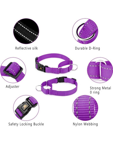 Collar Martingale Reflectante Plutus Pet M 40-50 cm Púrpura