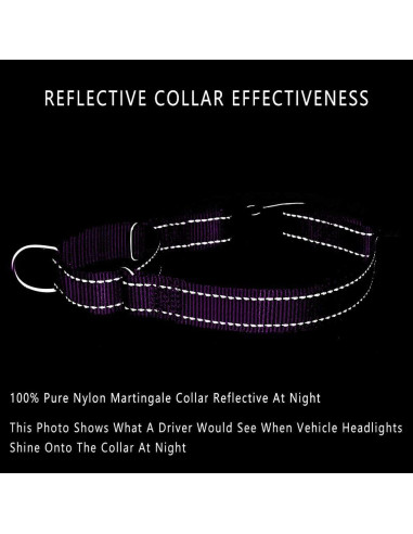 Collar Martingale Reflectante Plutus Pet M 40-50 cm Púrpura