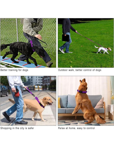 Collar Martingale Reflectante Plutus Pet M 40-50 cm Púrpura