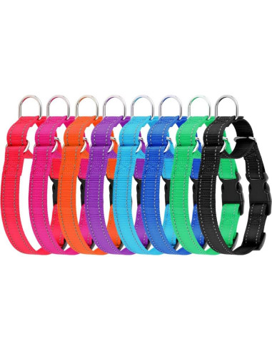 Collar Martingale Reflectante Plutus Pet M 40-50 cm Púrpura