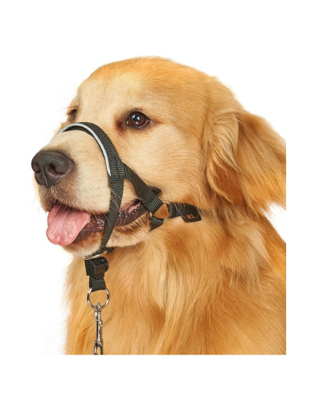 Collar de Cabeza BARKLESS M Negro para Perros Sin Tirones