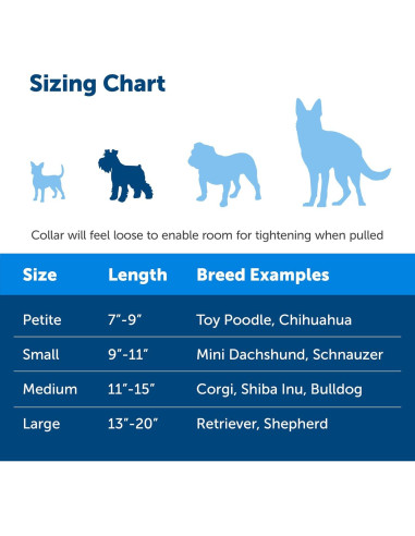 Collar Martingale PetSafe con Hebilla Rápido Desenganche 1,9 cm Negro