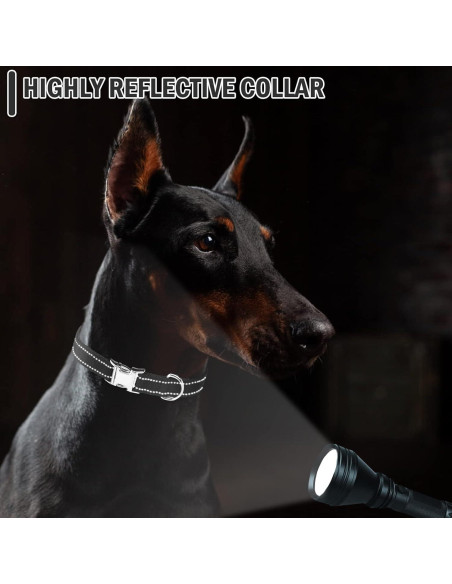 Correa de Collar para Perros ESGPET Ajustable Reflectante Negro