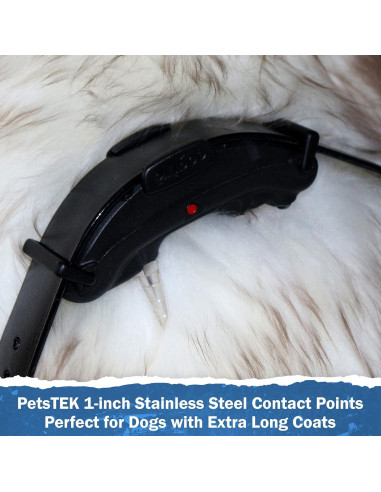 Puntas de Reemplazo 2 Pcs PetsTEK Acero Inoxidable 2.54 cm