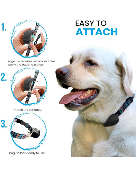 Correa de Reemplazo Nylon E-Collar Gracie Grande 45-68 cm