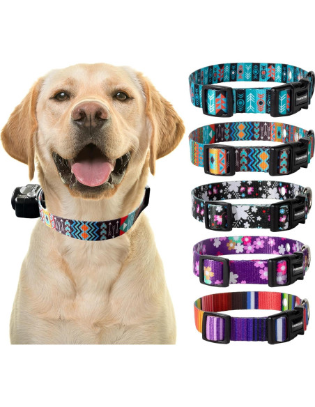 Correa de Reemplazo Nylon E-Collar Gracie Grande 45-68 cm