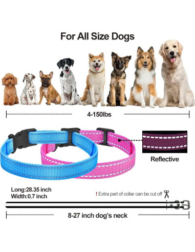 Correa de Reemplazo PetJoy para Collar de Choque 67.94 cm